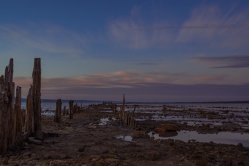 Beautiful blue sky and clouds at sunset. The shore of the lake and old logs sticking out of the ground. The blue hour. Kuyalnik. Kuyalnitsky estuary. Odessa. Ukraine. Winter 2020.