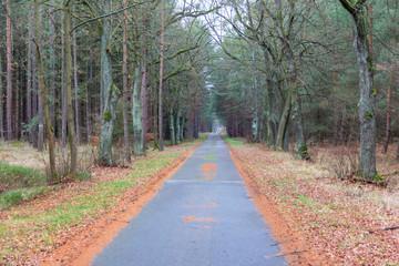 Radweg