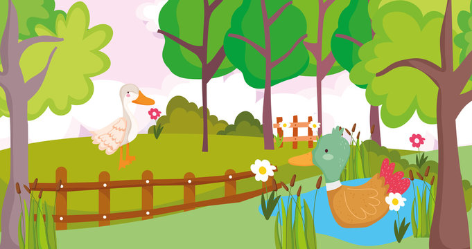 goose and duck in lake flowers fence farm animal cartoon
