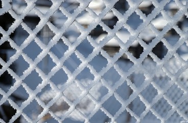 The metal wire mesh fence is covered with white hoarfrost.