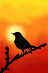 silhouette of a bird on a branch at sunset