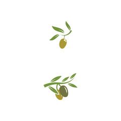 olive icon vector illustration