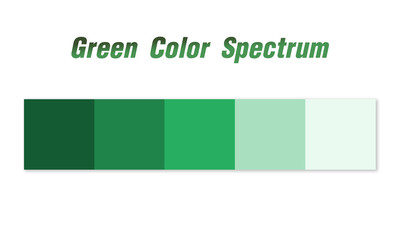 Green Color Spectrum, Color in various saturation