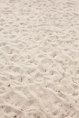 Footprints in Sand on Beach