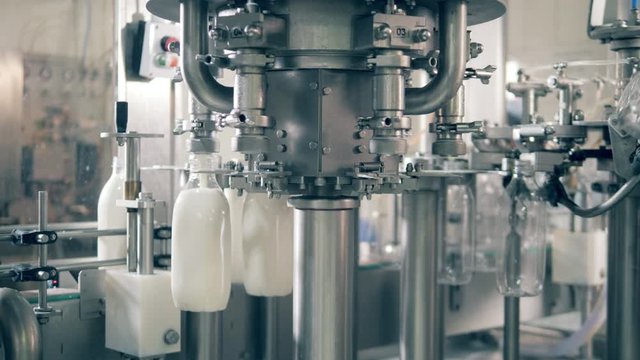 Pasteurized milk is getting mechanically poured into bottles