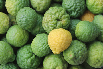 Fresh Bergamot herbal background yellow and green color natural aroma for healthy - obrazy, fototapety, plakaty