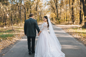 Wedding, autumn portrait of lovers newlyweds. Stylish groom and beautiful smiling brunette bride strolling holding hands. Photography, concept.