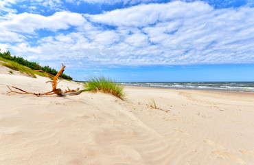 Beautiful summer landscape of sea coast and dunes - obrazy, fototapety, plakaty