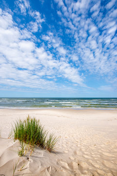 Naklejki Beautiful summer landscape of sea coast and dunes