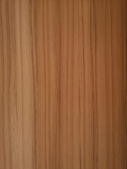 Fototapeta premium wooden wall material burr surface texture background Pattern brown color