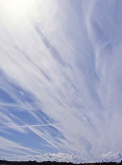 Fototapeta premium Streaming clouds