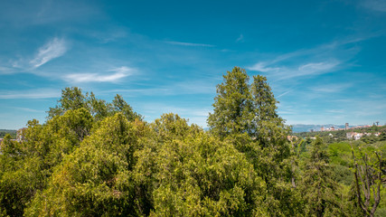 Fototapeta premium Panoramic view of Almudena cathedral from the famous park Las Vistillas in the downtown Madrid, Spain on a sunny day during the traditional festival in May called San Isidro in the capital of Spain