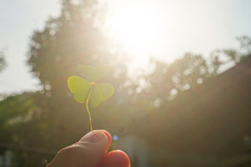 yellow flower in the sky