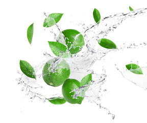 Fototapeta na wymiar Ripe limes, fresh mint and splashing water on white background