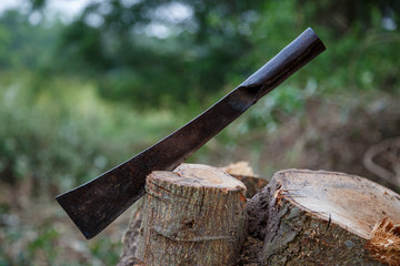  Chopping knife stuck on a tree stump