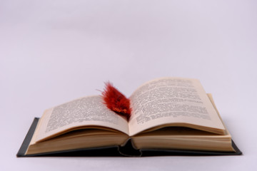 Open book with a bookmark on a white background.