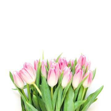 Tulips flowers on white background. Flat lay, top view. Lovely greeting card with tulips for Mother's day, wedding or happy event - Image.