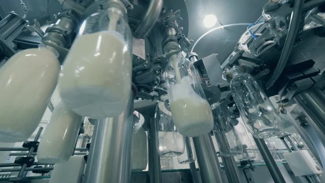 Factory mechanism is filling transparent bottles with fresh milk. Bottling factory equipmnet.