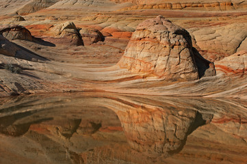 Landscape of rock formations and rain pool, Coyote Buttes Paria Canyon Vermillion Cliffs Wilderness Area, Arizona, USA