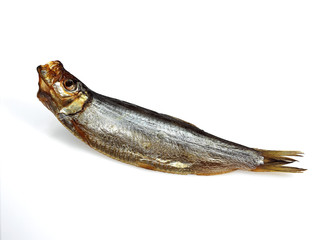 Fototapeta premium SPRAT