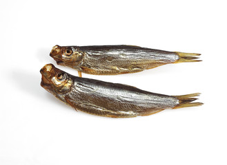 SPRAT