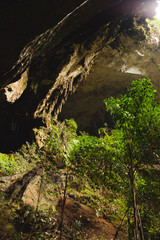 View inside Deer cave in Gunung Mulu National Park