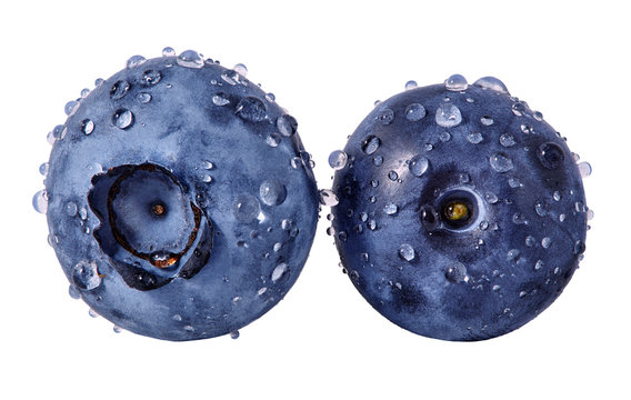 wet blueberries close up, water drops, white background clip art preview