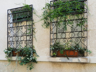 Two windows with vintage railing and plants on the windowsills.