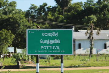 sign