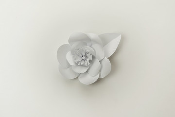 Tender white paper flower close up photo.