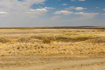 Fototapeta na wymiar desert landscape, steppe in Kazakhstan, dry grass