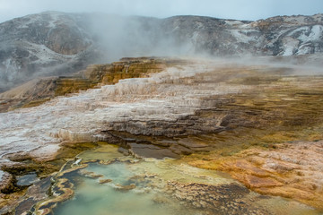 Minerva Terrace, Yellowstone National Park, Wyoming, USA