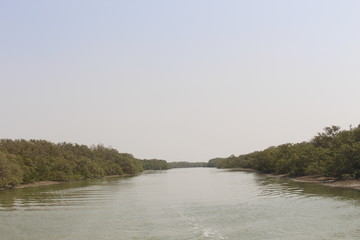 landscape with river