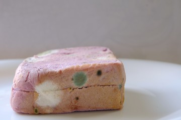 Moldy bread. Fungi on bread