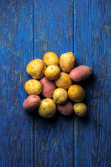 Potatoes on a blue wooden background