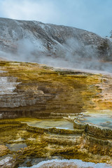 Minerva Terrace, Yellowstone National Park, Wyoming, USA