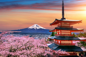 Fleurs de cerisier au printemps, pagode Chureito et montagne Fuji au coucher du soleil au Japon.