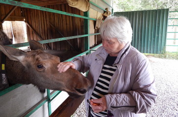 Женщина с лосем © golisin