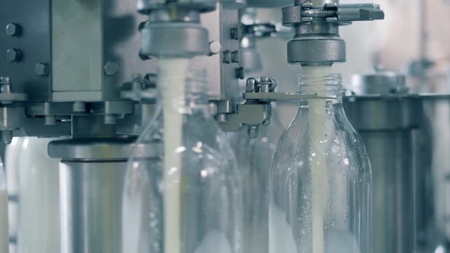 Factory conveyor is spinning and filling bottles with milk. Automated process of filling bottles with milk.