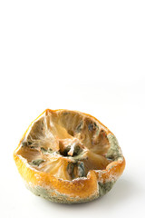Ugly lemon with mold on white. Vertical format. Close up, isolated.