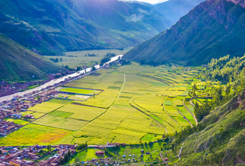 Bright green rice field in the valley with hills in Peru