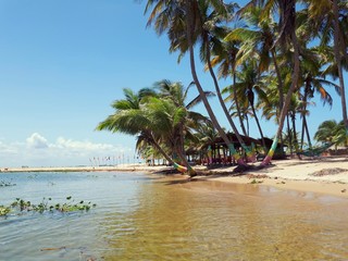 palm-lined sweet water beach at ada foah, Ghana - obrazy, fototapety, plakaty