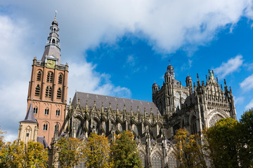 Fototapeta premium St Jan cathedral in Den Bosch, The Netherlands