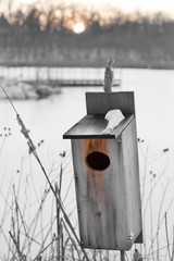 Rustic wooden birdhouse in Winter with de-focused pond and trees in background