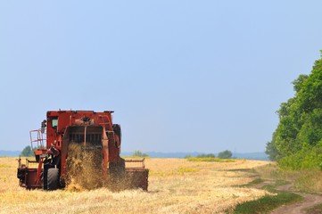 Naklejka premium Red combine harvester working in wheat field on sunny summer day