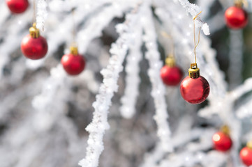 Red Christmas balls and snowy branch. winter holidays concept. Beautiful winter