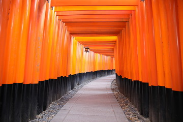 Fototapeta premium Fushimi Inari-taisha, Kyoto, Japan