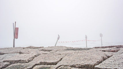 Sea birds perch on warning signs is coastal waters on a foggy winter day.
