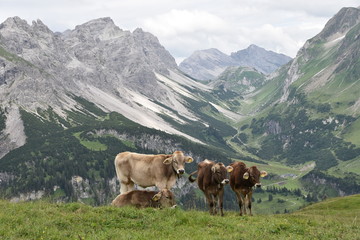 Berglandschaft in Vorarlberg