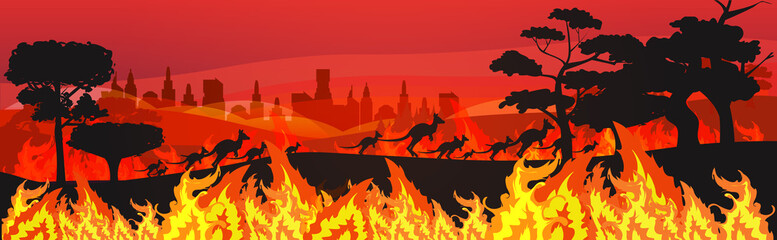 silhouettes of kangaroos running from forest fires in australia animals dying in wildfire bushfire burning trees natural disaster concept intense orange flames horizontal vector illustration